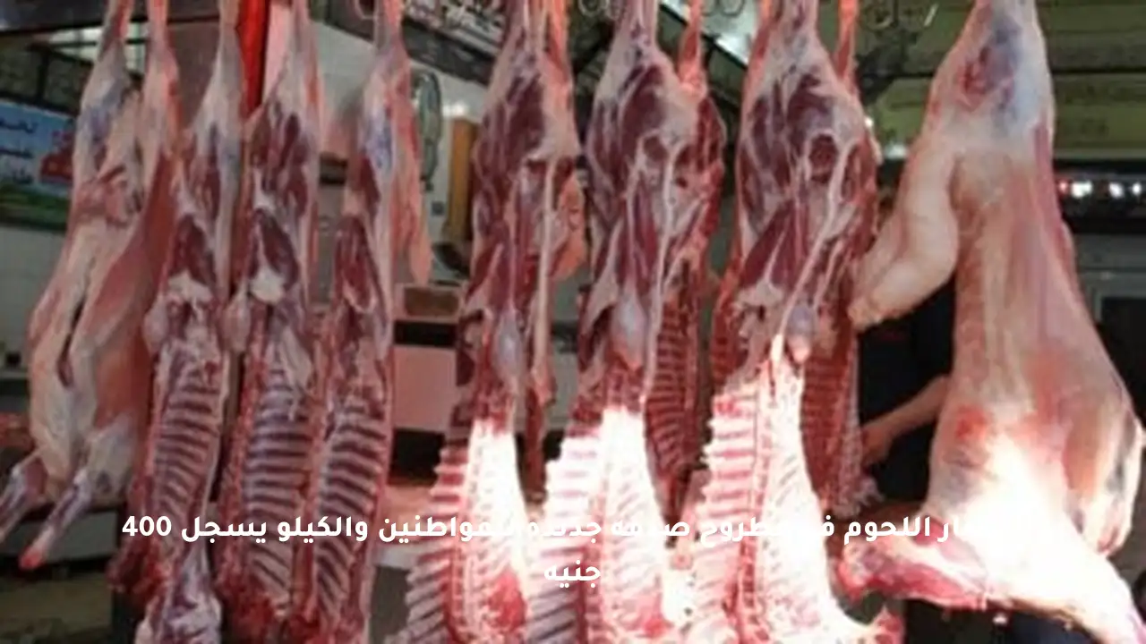 أسعار اللحوم في مطروح صدمة جديدة للمواطنين والكيلو يسجل 400 جنيه